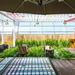 roof gardening