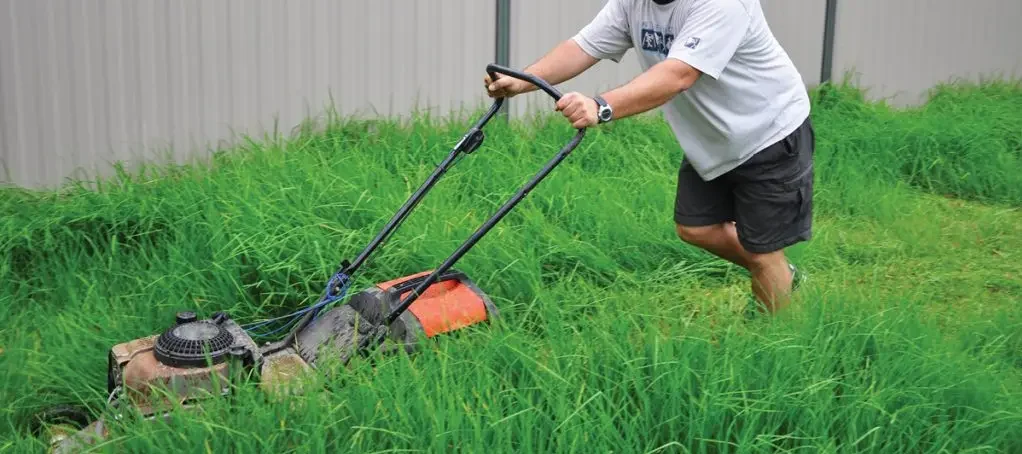 Man mowing an overgrown natural lawn with a push mower, showing the time and effort required for lawn maintenance.