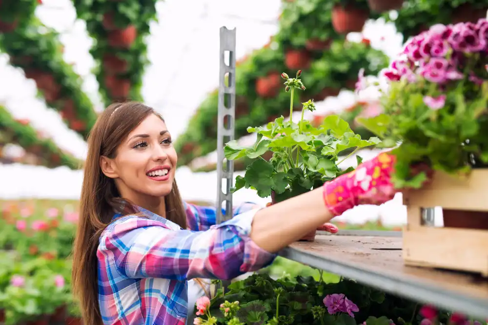 Roof gardening decoration