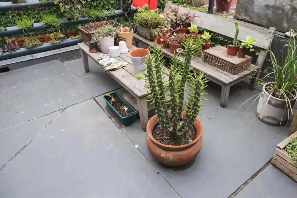 Roof gardening