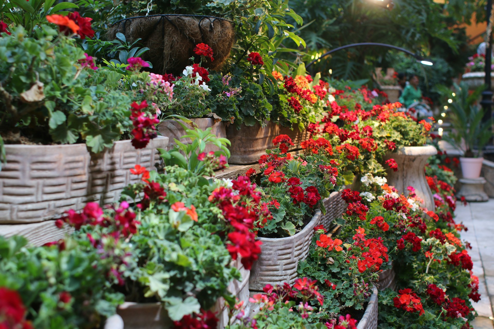 DIY Garden Decoration Ideas