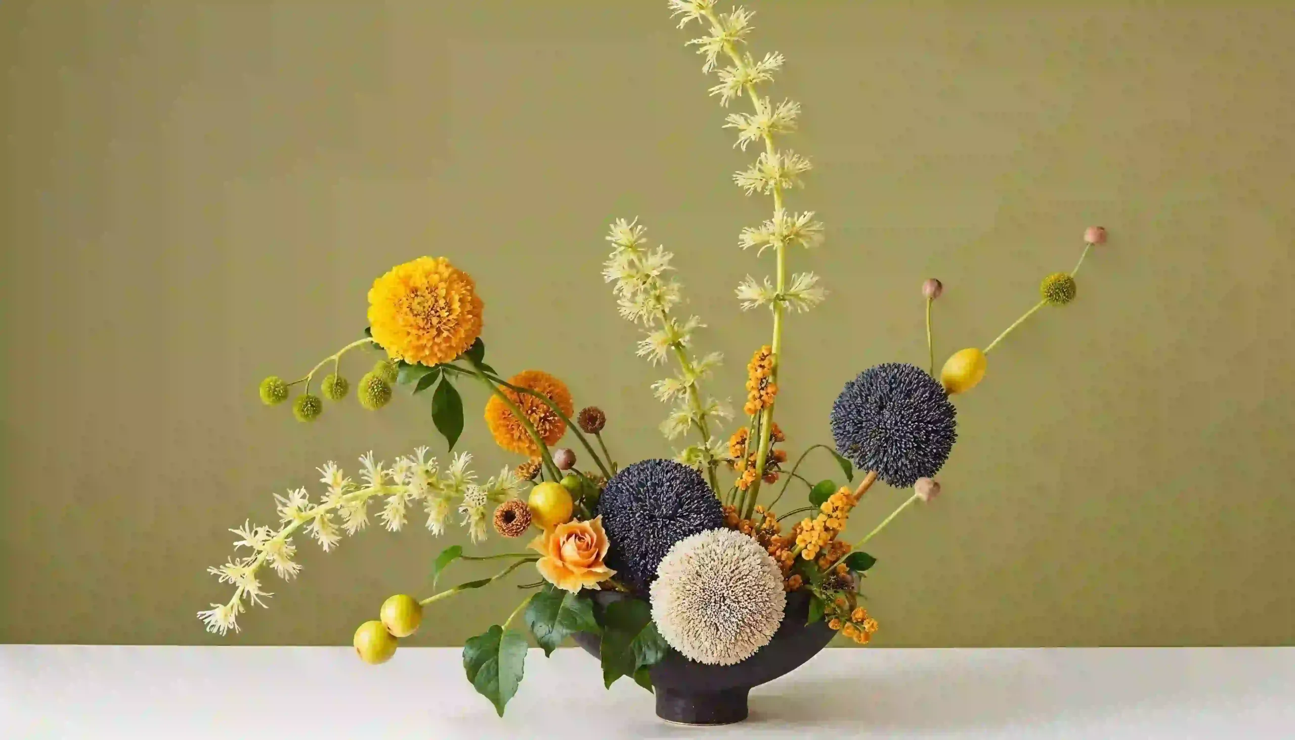 plants and flowers beauty