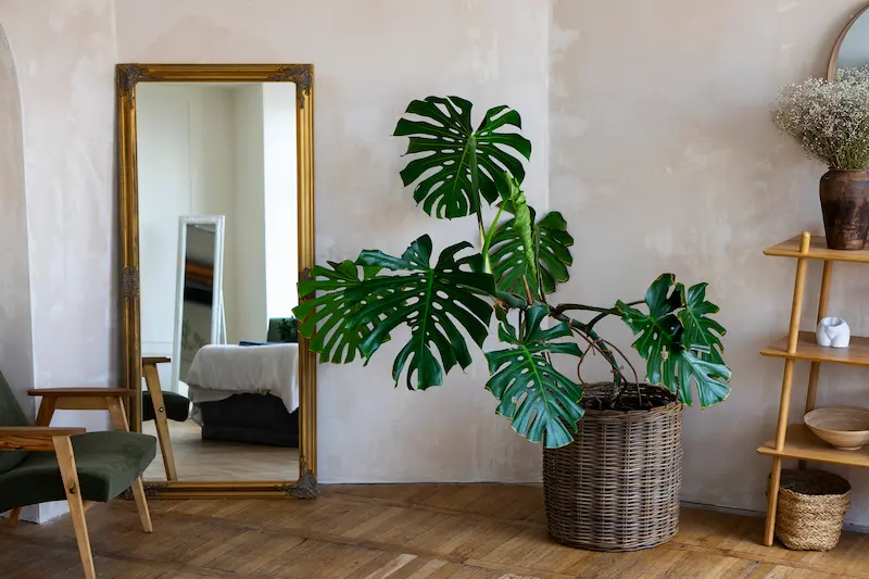 room-decor-mirror