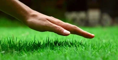 a hand facing artificial grass beneath it