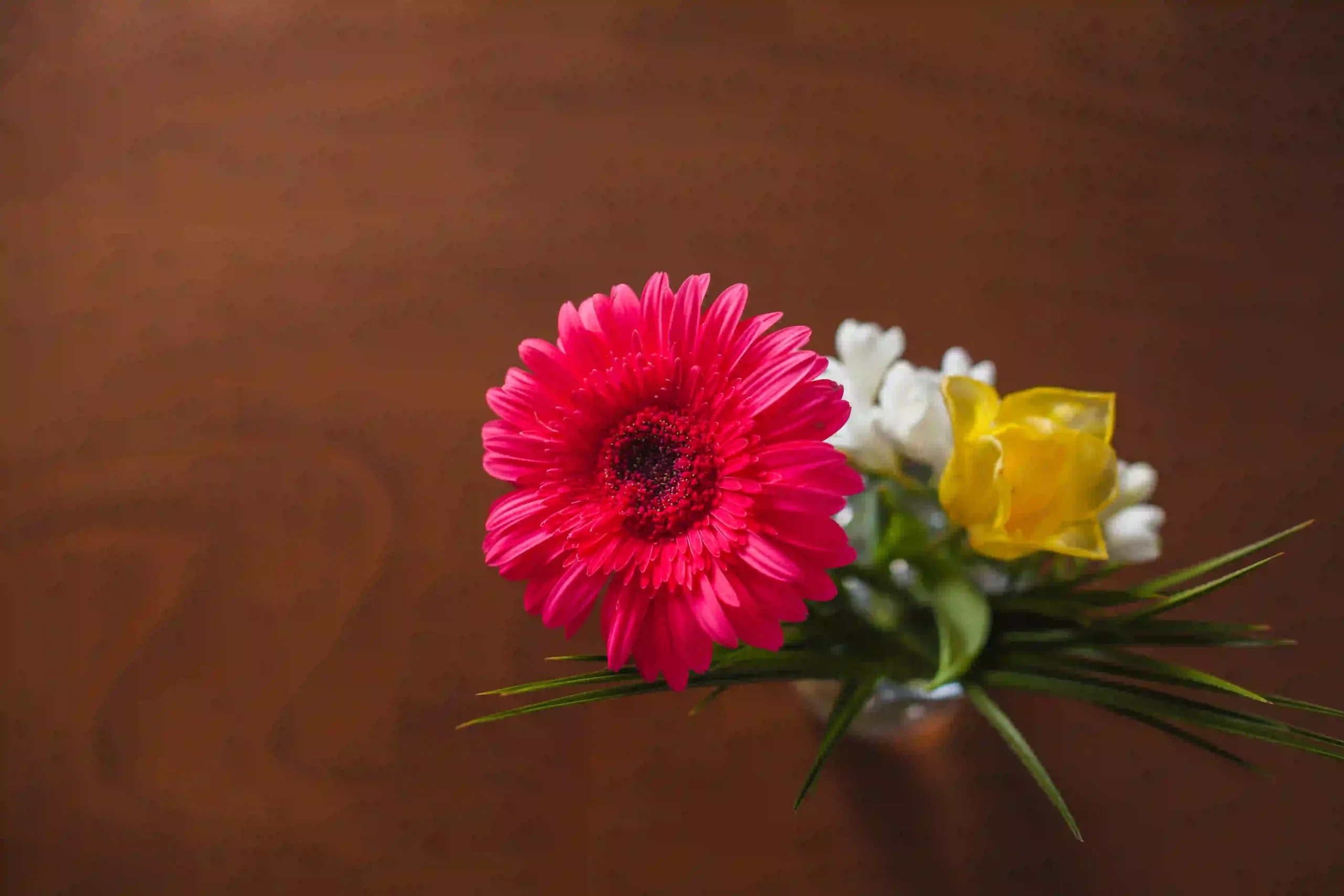 colored-flowers