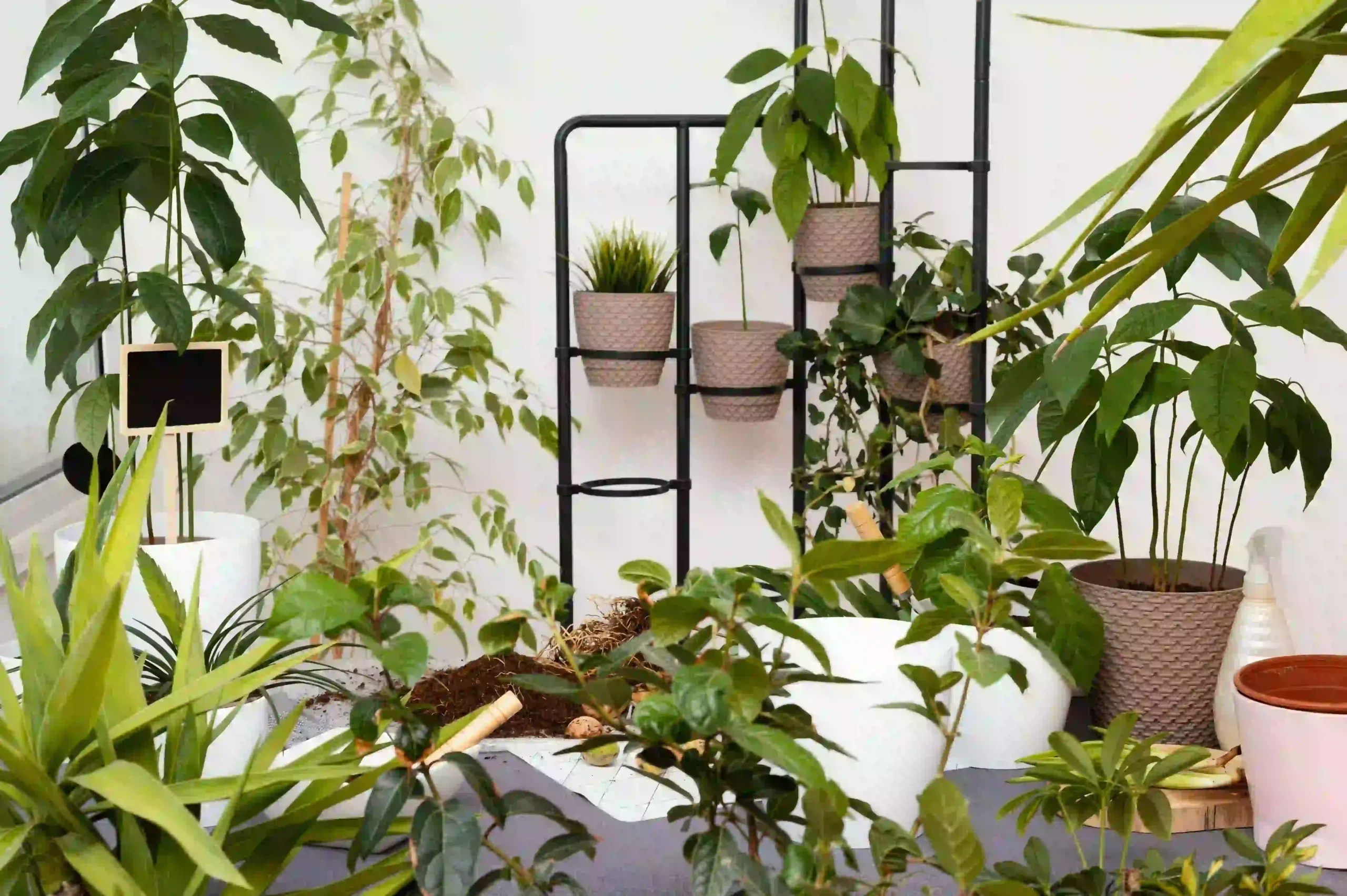 garden-home-concept