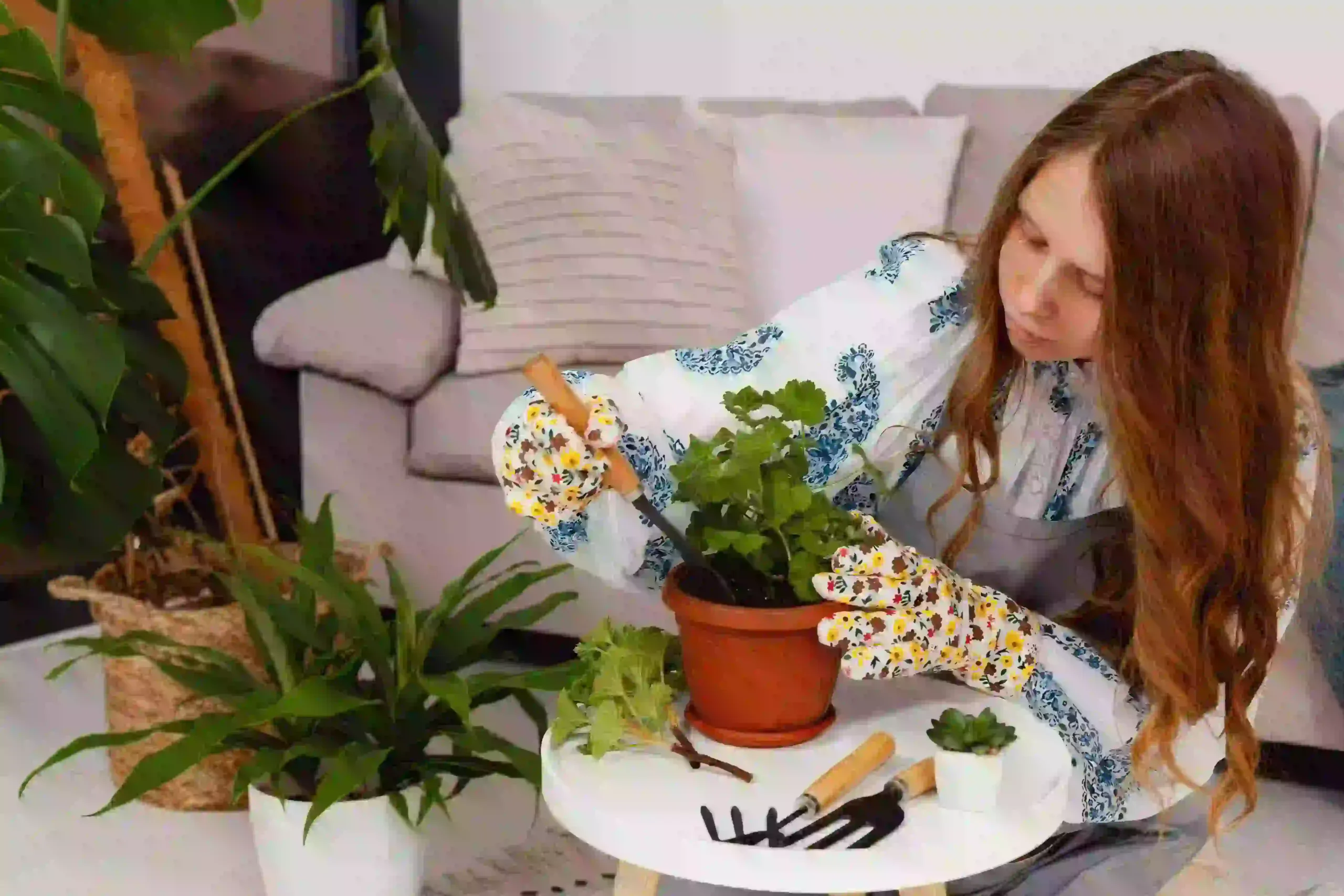 indoor flowering