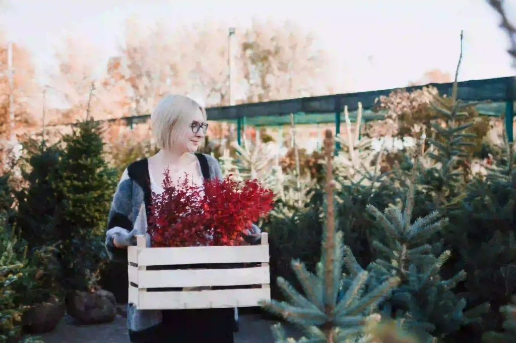 seasonal plant