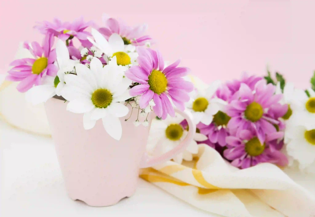springtime flowers
