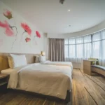 Best Curtain Ideas to Elevate Your Home Decor